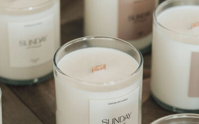 Tips for Starting and Succeeding in Your Own Business